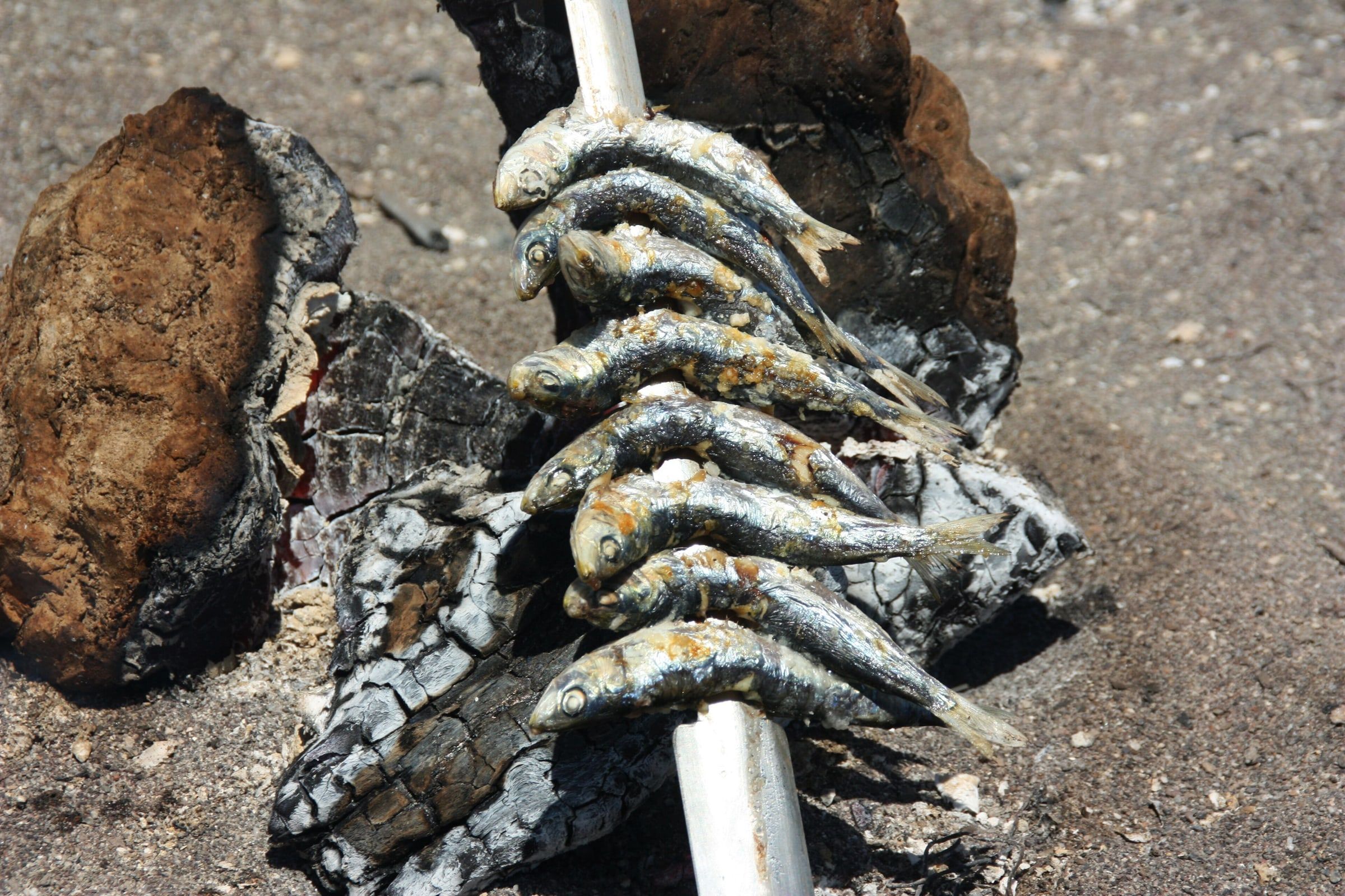 Espetos de sardinas asándose sobre las brasas en un chiringuito de Torre del Mar